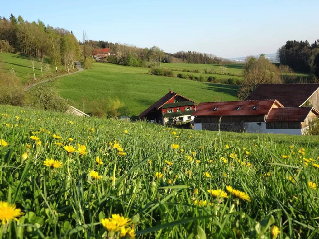 Bauernhof Irlmühl in Schwarzach